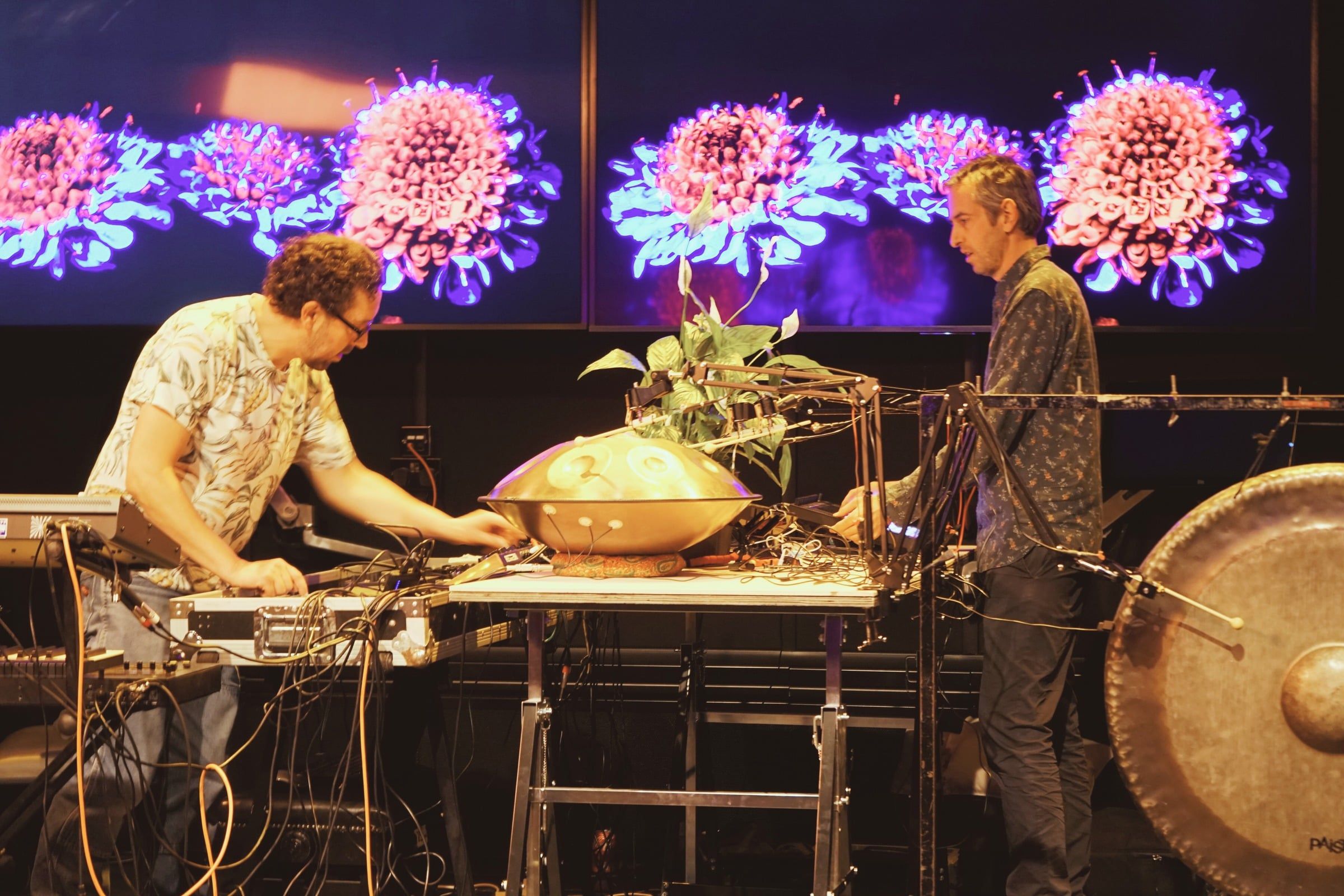Bionic Records Band Events - We Invented the Weekend